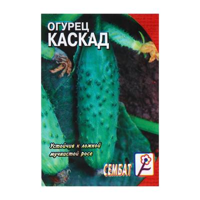 Огурец Каскад Отзывы Фото Огурец Каскад Отзывы Фото